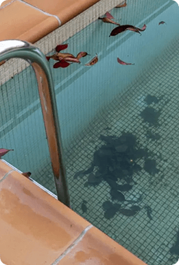 POOL DEMOLITION